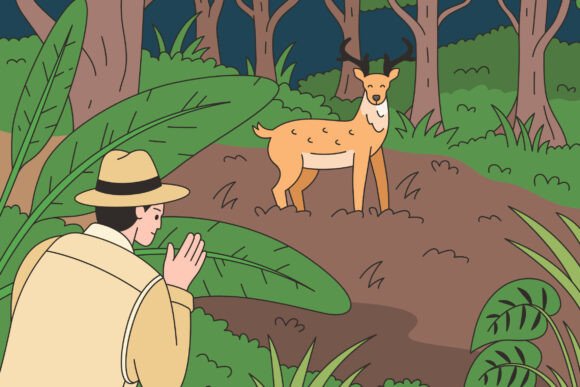 Deer Encounter: Capturing Nature’s Quiet Moments in Real-World Contexts